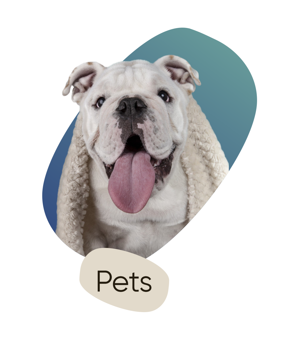 Reserva_settore_pets